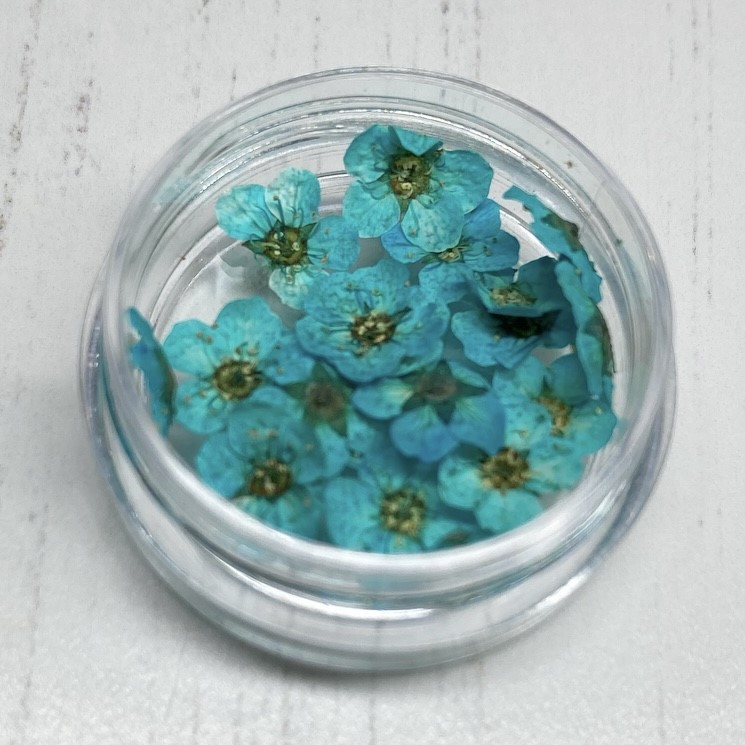 Dried Flowers (Blue)