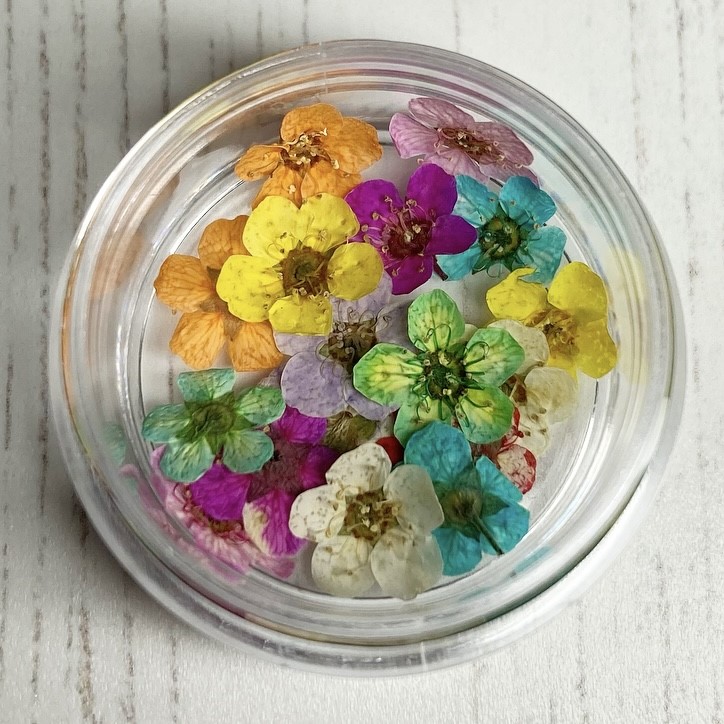 Dried Flowers (Mixed Colours)