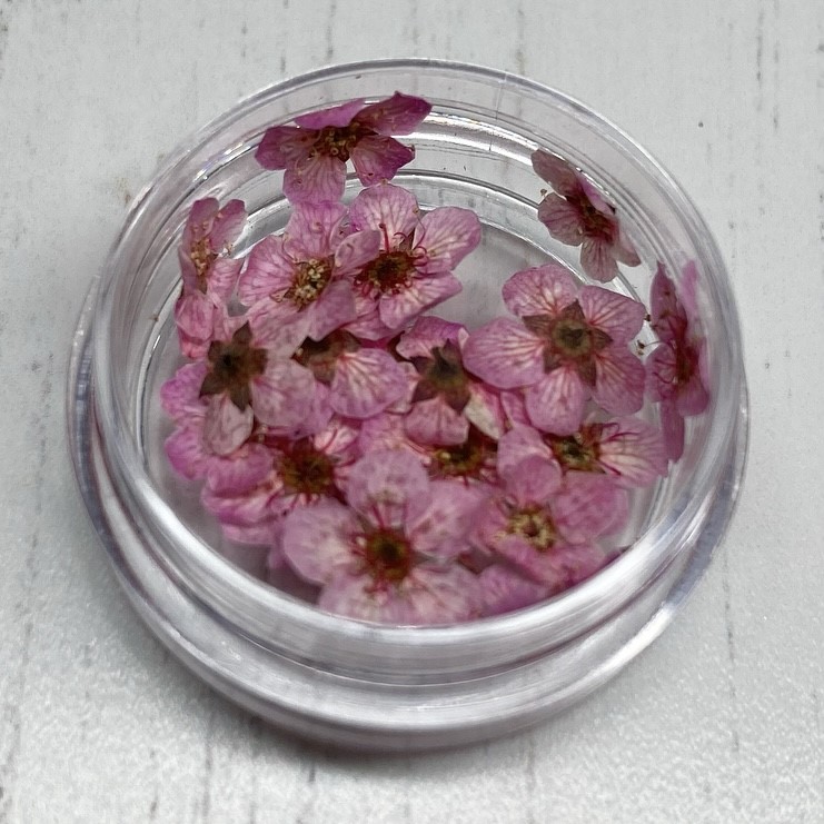 Dried Flowers (Pink)