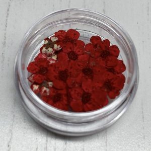 Dried Flowers (Red)
