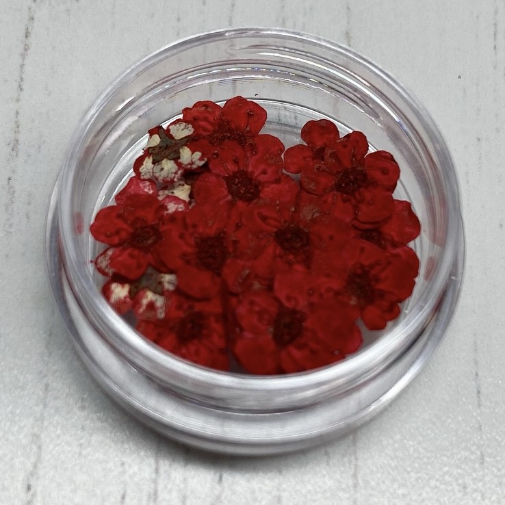 Dried Flowers (Red)